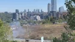 Kağıthane'de yeşil alanı kundaklayan şahıs yakalandı