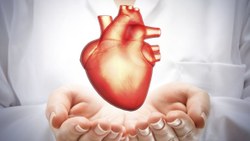 Ölümcül kalp damar hastalıklarından korunmak mümkün