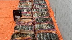 Rotterdam Limanı'nda 1400 kilo kokain ele geçirildi