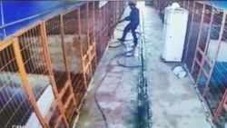 Tuzla’da, köpeği ile dalaşan köpeğe av tüfeği ile ateş etti