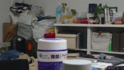 Japonya, 6.1 büyüklüğünde depremle sallandı