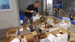 İskenderun’da, nar ekşisi yüklü konteynerden 1 milyon 200 bin uyuşturucu hap çıktı