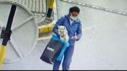 Sarıyer'deki kadın, gördüğü köpeği sevdikten sonra çaldı
