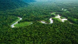 Facebook'tan, Amazon Ormanları'nda arazi satışını yasaklama kararı