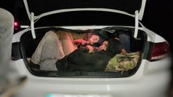 Bitlis'te 2 otomobilden 29 kaçak göçmen çıktı