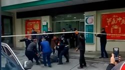 Çin’de, yaban domuzu bankaya girdi