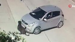 Ankara'da aracını kaldırımda yatan köpeğin üzerine sürdü
