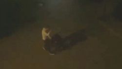 Sultangazi'de zihinsel engelli genç, dakikalarca darbedildi