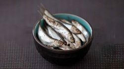 Omega 3 zengini 7 besin
