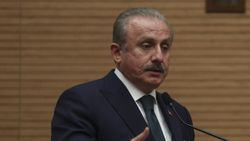 Mustafa Şentop: Türkiye tesir gücüne sahip bir ülke