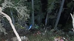 Artvin'de odun keserken uçuruma yuvarlandı
