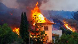 La Palma Adası'nda 2 bin 185 bina küle döndü