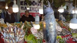 Karadeniz'de toriğin tanesi 300 liraya satılıyor