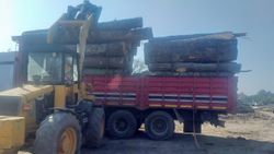 Sakarya'da tomruk altına kalan işçi öldü