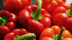 En çok E vitamini içeren 10 besin