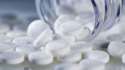 Doğanın mucizesi! Aspirinin ham maddesi bakın hangi ağaçmış...