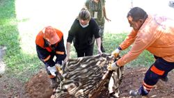 Antalya'da ölen köpeğini gömen vatandaş, ihbar üzerine çılgına döndü