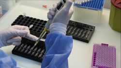 Bulgaristan’da, Türkiye geçişleri için hazırlanmış sahte PCR testleri ele geçirildi