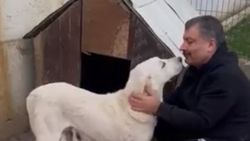 Fahrettin Koca'nın köpeğiyle olan videosu gündem oldu