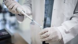 Dünyada AIDS'e yakalananların Batı ve Orta Afrika'daki oranı