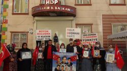 Diyarbakır ailelerinden Lütfü Türkkan’a tepki