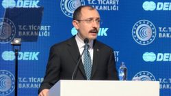 Bakan Mehmet Muş'tan 'milli para' vurgusu