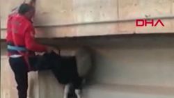 Şanlıurfa’da, köprüde mahsur kalan keçinin kurtarılma anları kamerada