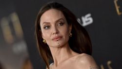 Angelina Jolie'den ormansızlaşmayı durduralım çağrısı