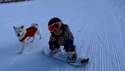 Çin'de 11 aylık bebeğin snowboard keyfi