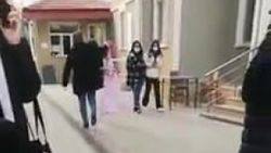 Amasya’da yurttan çarşafla çıkarılan kedileri, belediye sahiplendi