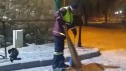 Elazığ'da temizlik görevlisi ile kedi arasındaki dostluk