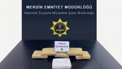 Mersin'de muz yüklü konteynerde 6 kilo 750 gram kokain yakalandı