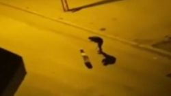 Ankara'da köpeğini tasma ile dövdü