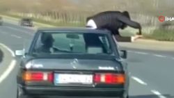 İstanbul'da video çekmek için arabadan sarktı
