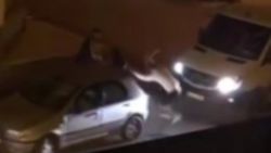 Pendik'te köpeğe ve sahibine sopayla saldırdılar