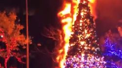 New York'ta Noel ağacı yakıldı