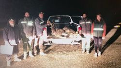Tunceli'de kaçak dağ keçisi avına 126 bin TL ceza