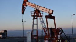2022 yılında Türkiye'nin petrol hedefi, günde 65 bin varil