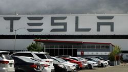 6 kadın çalışan daha Tesla'ya taciz davası açtı