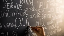 Araştırma: 1500 dil, yok olmayla karşı karşıya