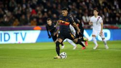 Van Aanholt özür diledi
