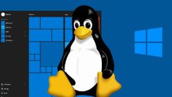 Linux'u hedefleyen zararlı yazılımların sayısı artıyor