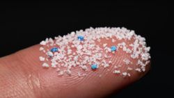 Zehirli nanoplastikler, kutuplara kadar ulaştı