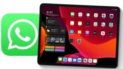 WhatsApp'tan iPad uygulamasına yeşil ışık
