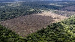 Amazonlar'da Ocak ayındaki en yüksek tahribat kayıtlara geçti