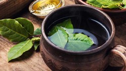 Öksürenler denesin: Defne yaprağı çayı faydaları nelerdir, nasıl demlenir?