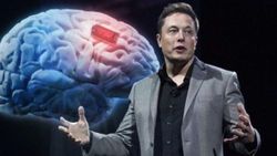 Neuralink, teste giren maymunları öldürdüğünü itiraf etti