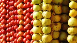 Alıç meyvesinin sağlığa 6 inanılmaz faydası