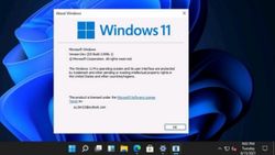 Windows 11 Pro, internet bağlantısı olmadan yüklenemeyecek