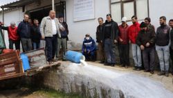 Çanakkale'de üretici, mandıracılara kızıp süt döktü